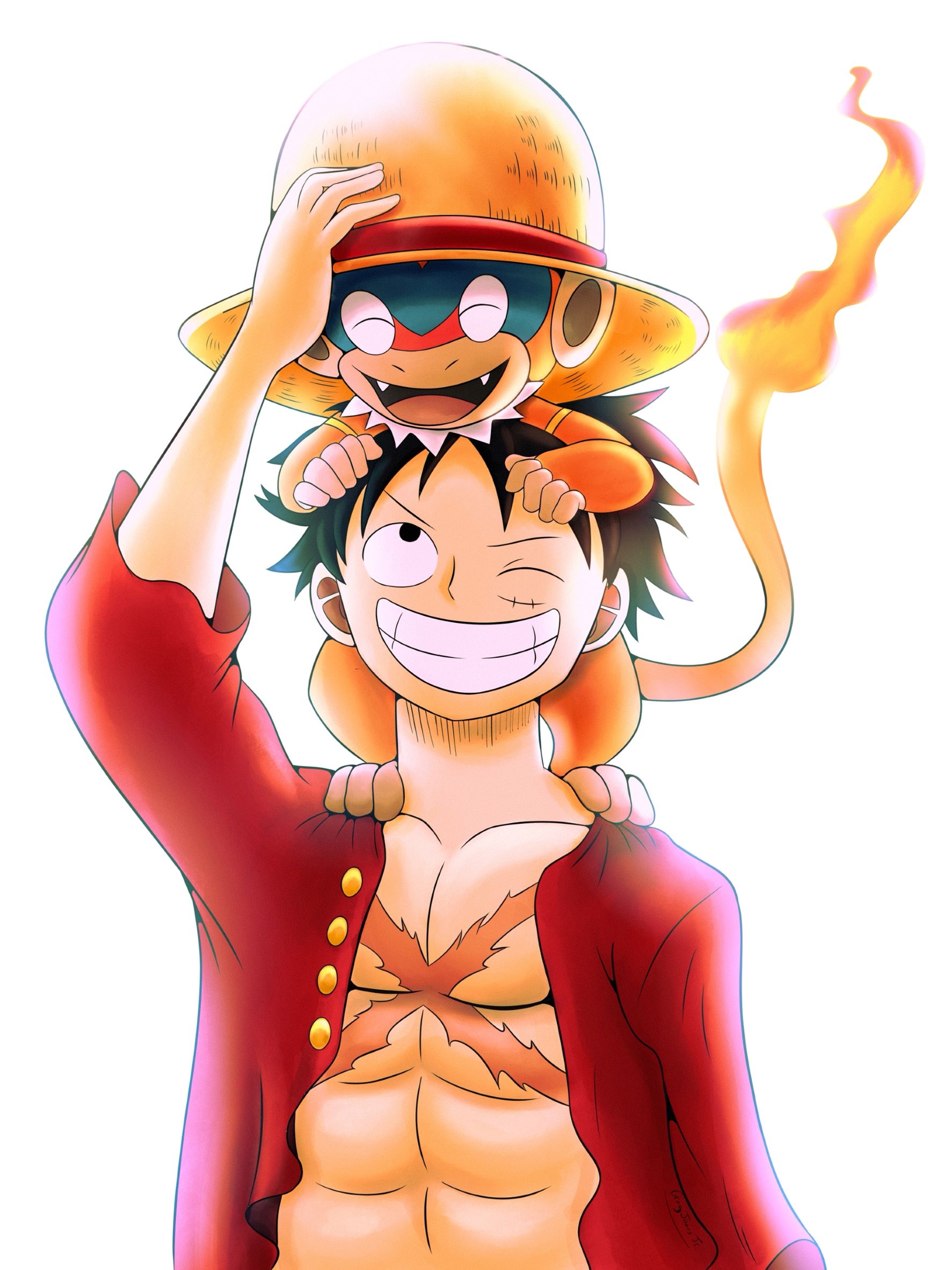 Luffy Pokemon Fanart